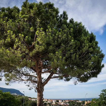 Balconi Del Conero Апарт-отель Нумана